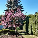 Homestay Svata Privatunterkunft *