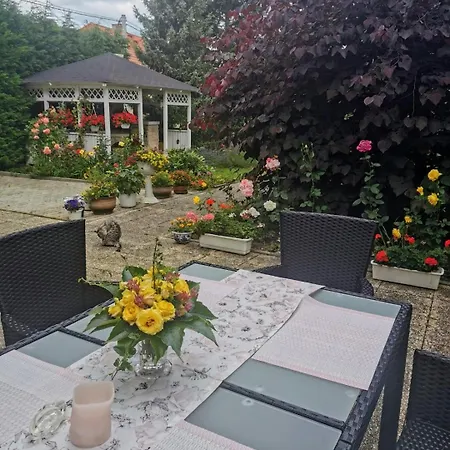 Homestay Svata Homestay *