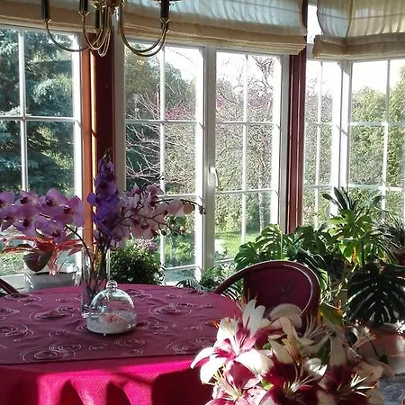 Homestay Svata