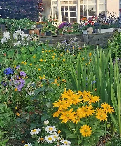 Habitación en casa particular Homestay Svatá Svatá