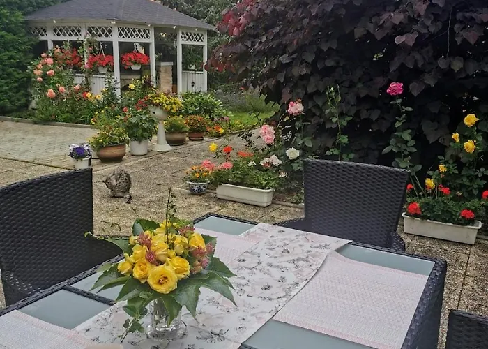 Homestay Svata Homestay *